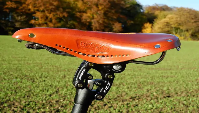 The Pros And Cons Of The Brooks Swift Saddle