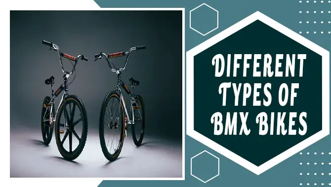 Different Types Of BMX Bikes