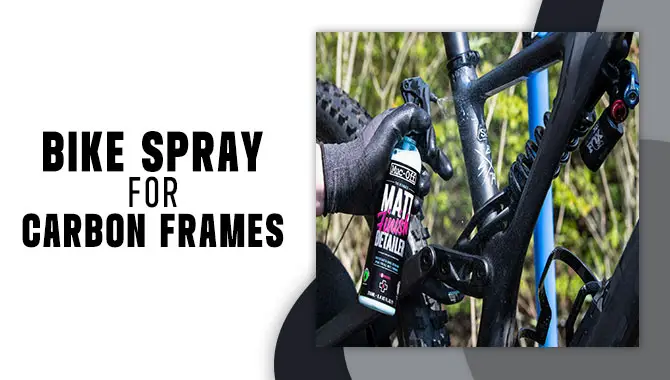 Bike Spray For Carbon Frames