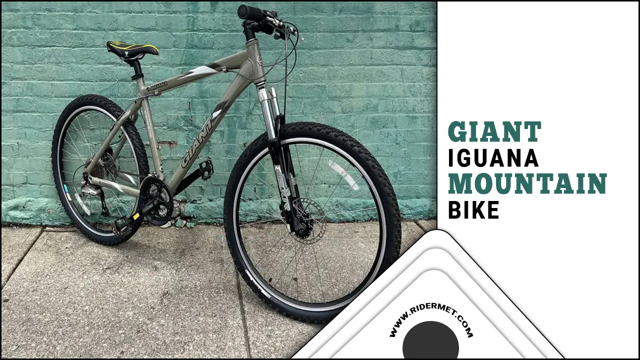 Giant Iguana Mountain Bike