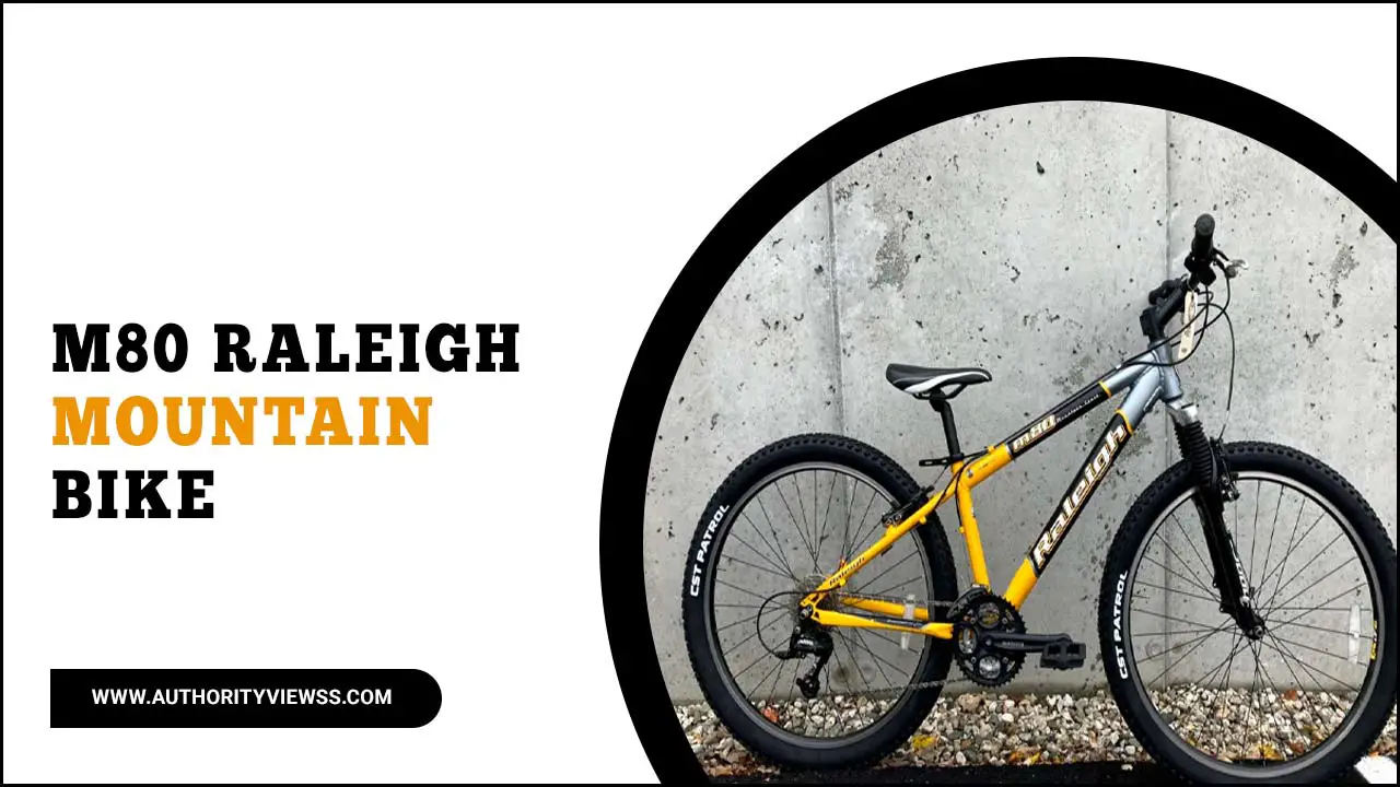 M80 Raleigh Mountain Bike